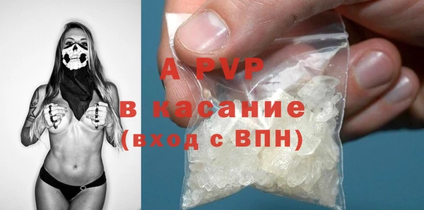 гашик Бабаево
