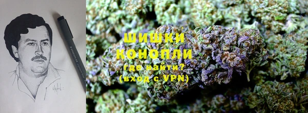Альфа ПВП Надым